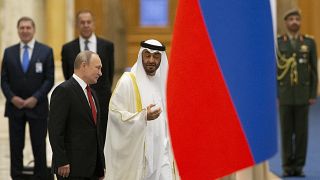 الرئيس الإماراتي محمد بن زايد آل نهيان والرئيس الروسي فلاديمير بوتين - أرشيف