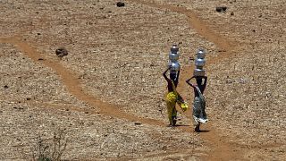 Deux Indiennes rentrent chez elles après avoir collecté de l'eau potable dans un puits à Mengal Pada, en Inde, en mai 2016.
