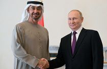 Президенты России и ОАЭ