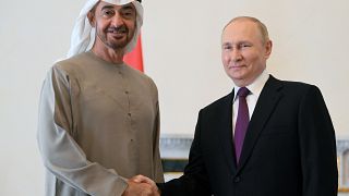 Президенты России и ОАЭ