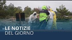 Le notizie del giorno | 12 ottobre - Mattino