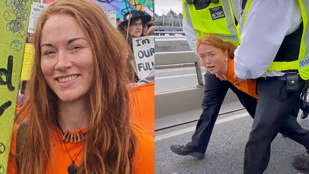 ‘For my son’: Just Stop Oil protester whose arrest went viral on why she chose to get arrested