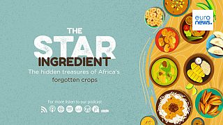 The Star Ingredient Podcast