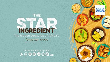 The Star Ingredient Podcast
