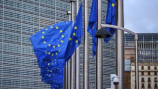Brüksel'deki AB merkezi önünde asılı bulunan Avrupa Birliği bayrakları 