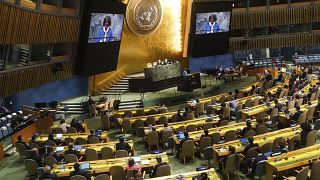 Les pays africains divisés sur un vote de l'ONU contre la Russie