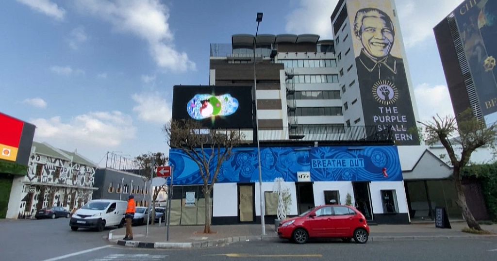 Mural art brings central Johannesburg to life - Vimarsana News