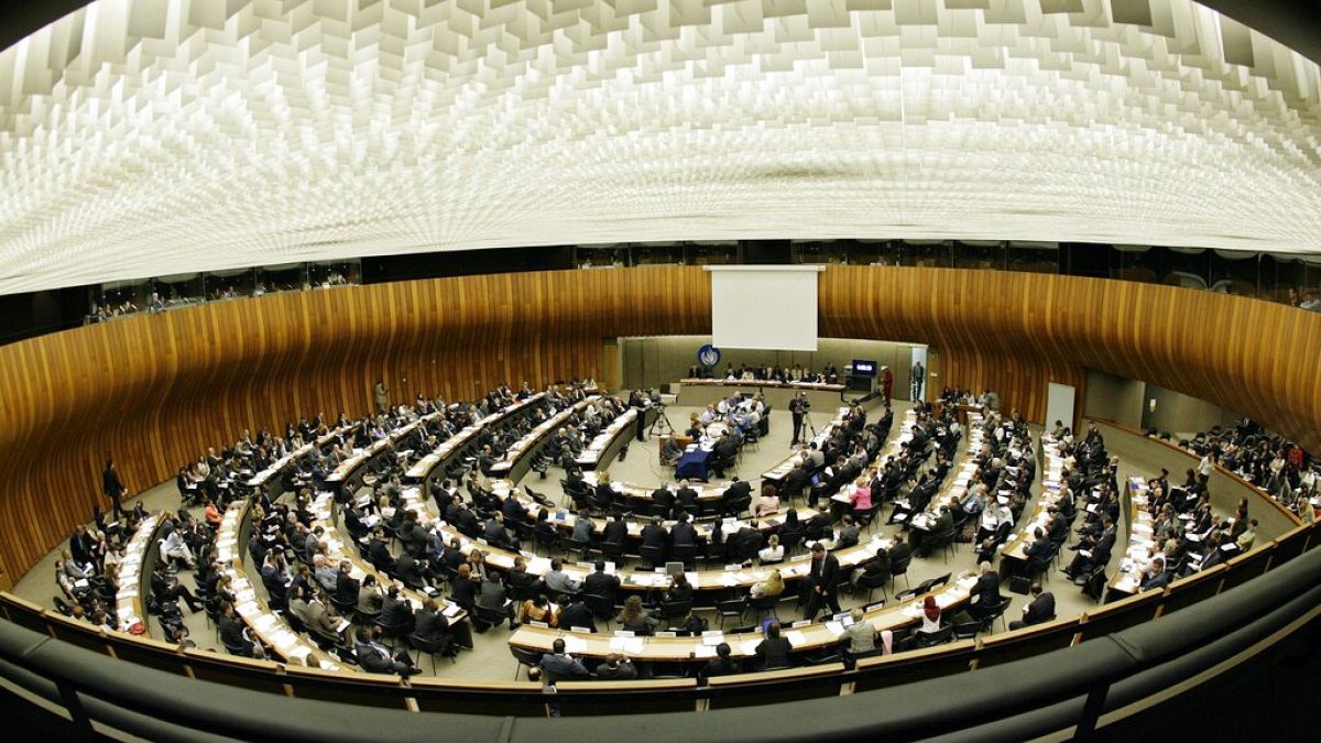 BM İnsan Hakları Yüksek Komiserliği genel kurulu 