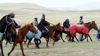 Lesotho : les courses de chevaux, une tradition conservée