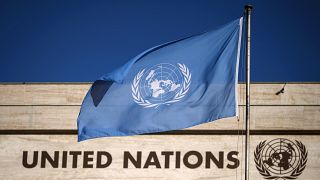 اعتراضات به جان باختن مهسا امینی؛ سازمان ملل متحد