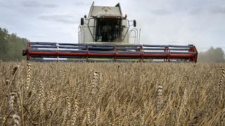 Ukraine has been able to export limited amounts of grain since the summer