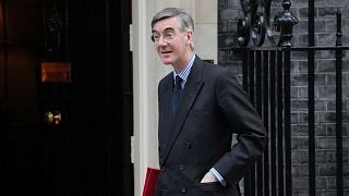 New UK business secretary Jacob Rees-Mogg has decided not to pursue the application for permission to appeal the High Court ruling, a letter from government officials states.