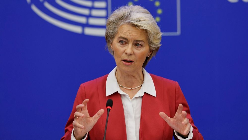 EU proposes joint gas purchasing and ‘dynamic’ cap to curb prices