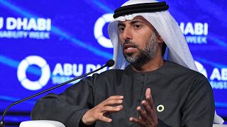 وزير الطاقة الإماراتي سهيل المزروعي 