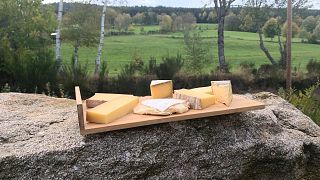 Geschützt und bedroht: Wie sich die Trockenheit auf Käse auswirkt