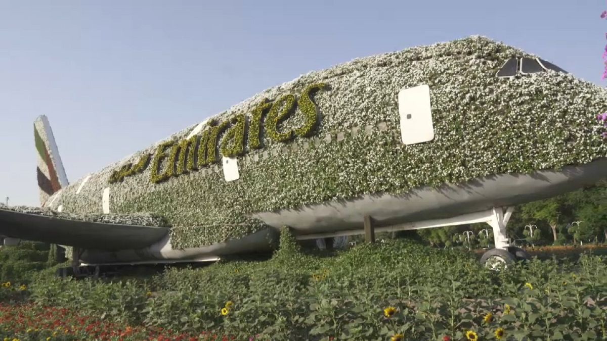 Inside Dubai’s most spectacular gardens Euronews