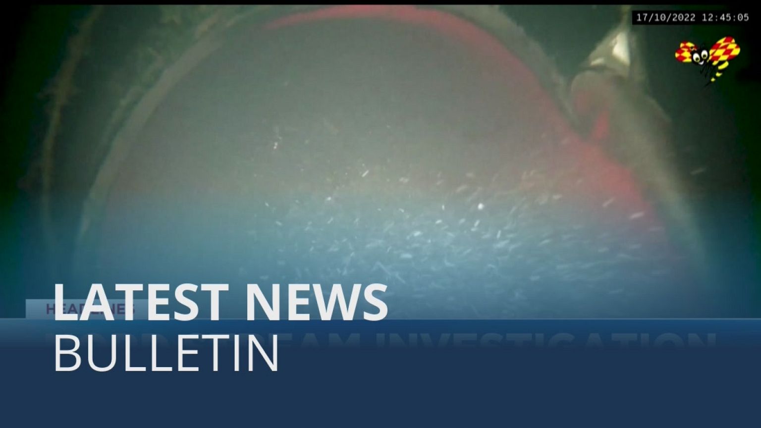 Latest news bulletin | October 19th – Morning