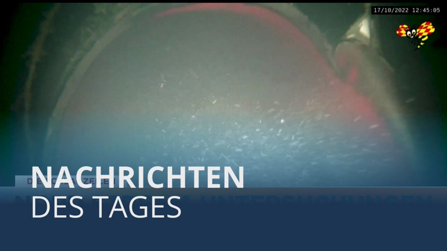 Nachrichten des Tages | 19. Oktober - Morgenausgabe