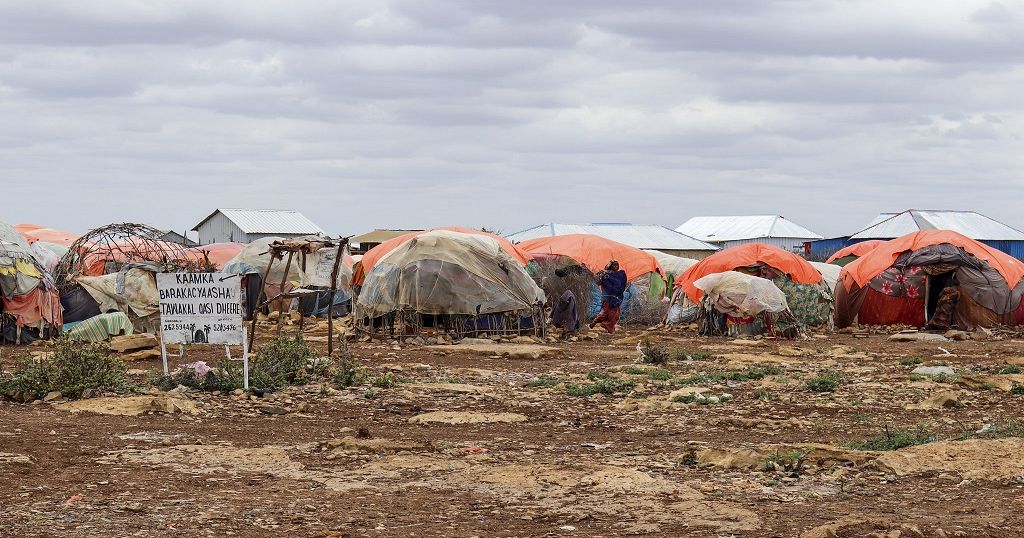 Renewed famine warning for drought-hit Somalia | Africanews