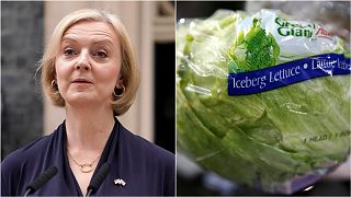 A composite image of Liz Truss and a lettuce