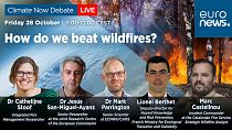How do we beat wildfires?