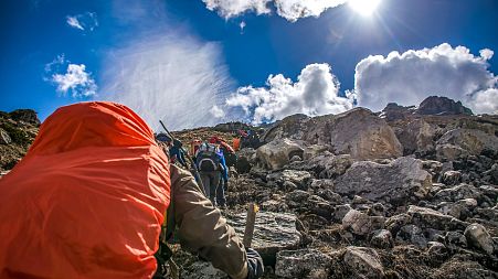 There are a number of alternatives to the Camino all over the world.
