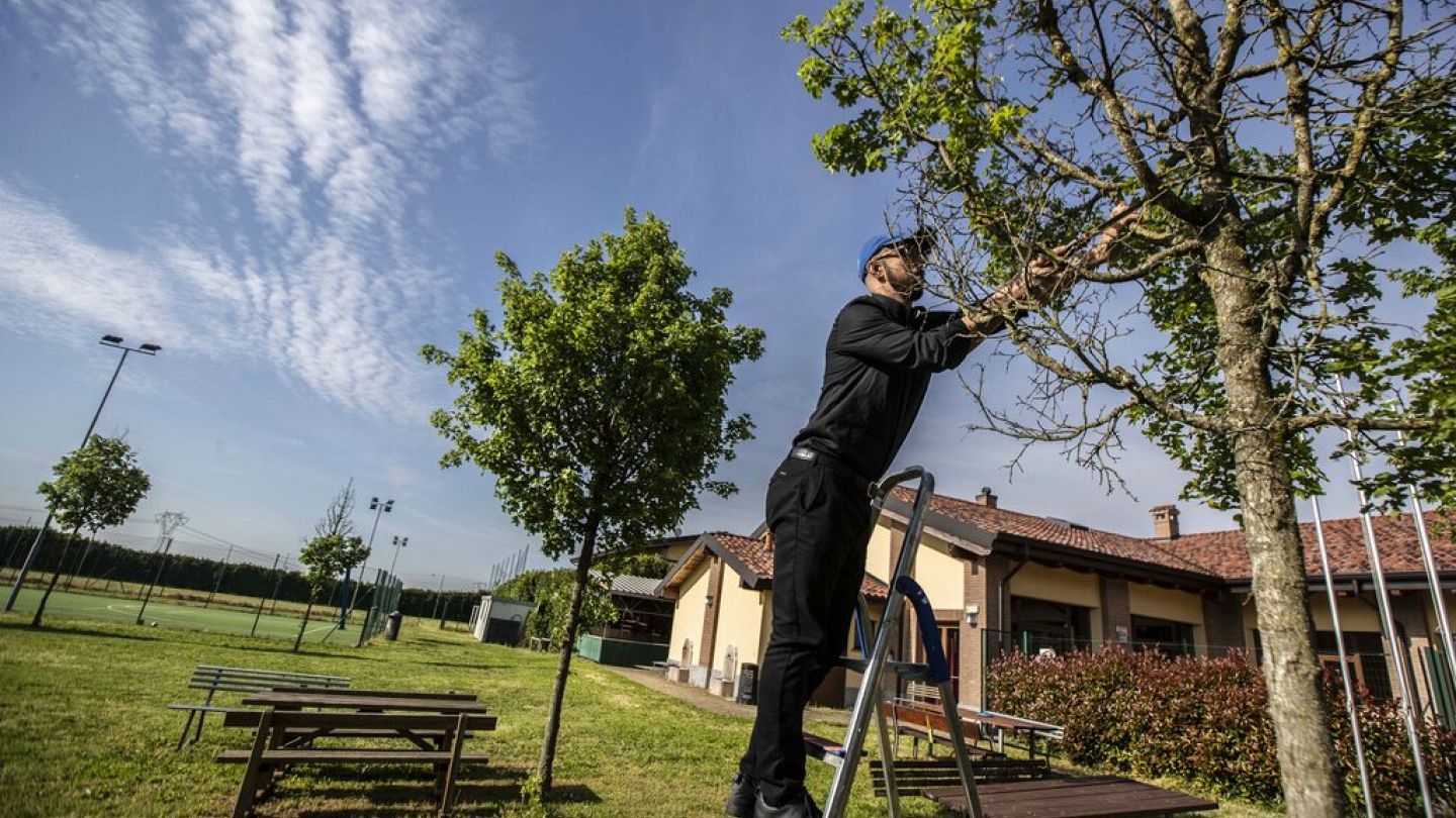 Plantar árboles para hacer las ciudades más verdes | Euronews