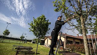 People walk in Tree Library park in Milan in December 2018.