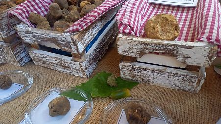 Tartufo bianco for sale