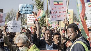 Ethiopians hold pro-government rallies, denounce West