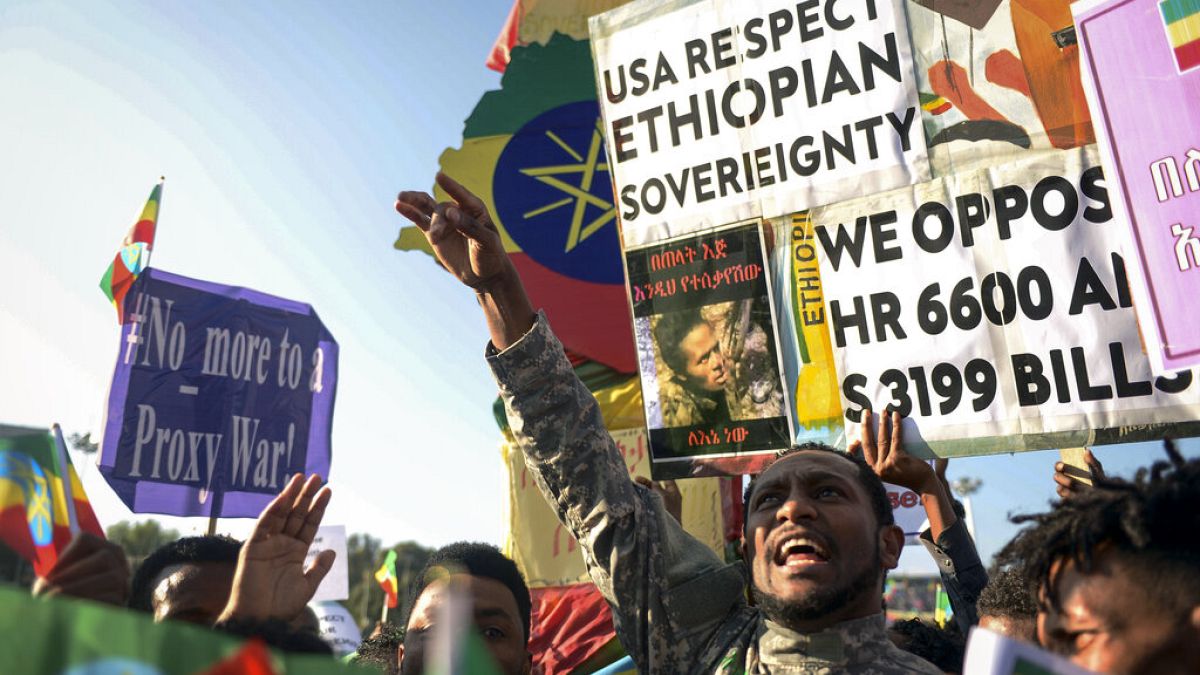 Плакат с лозунгом "США, уважайте суверенность Эфиопии". 