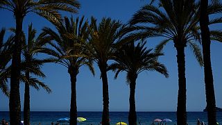Ein warmer Strand in Spanien