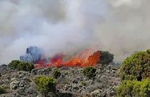 الحرائق المشتعلة على منحدرات جبل كليمنجارو في تنزانيا. 2022/10/23