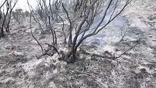 Tanzanie : l'incendie sur le Kilimandjaro "maîtrisé"