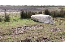 Spain’s Doñana wetlands are drying up