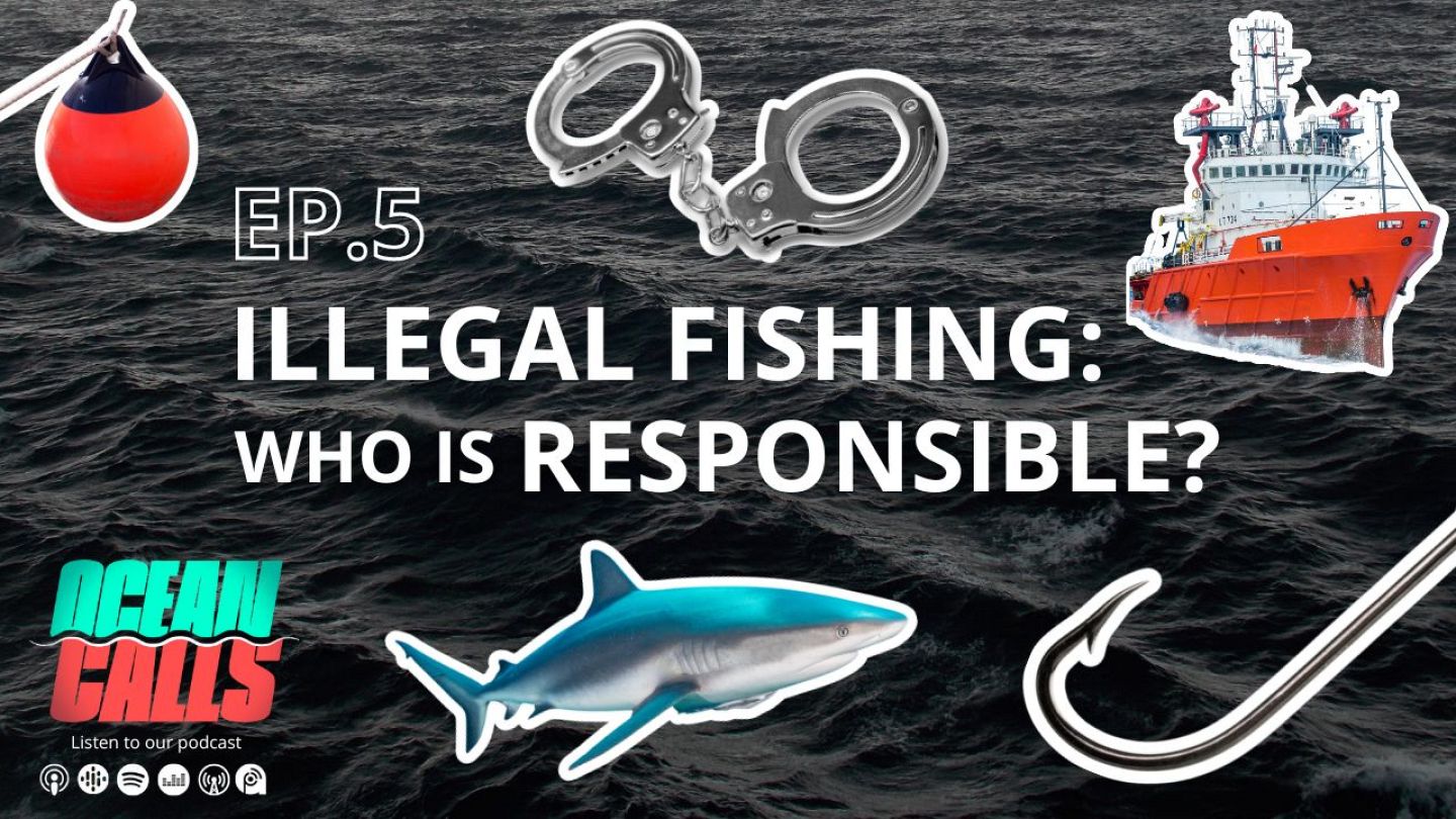 Ocean Calls podcast: Inside the murky world of illegal fishing