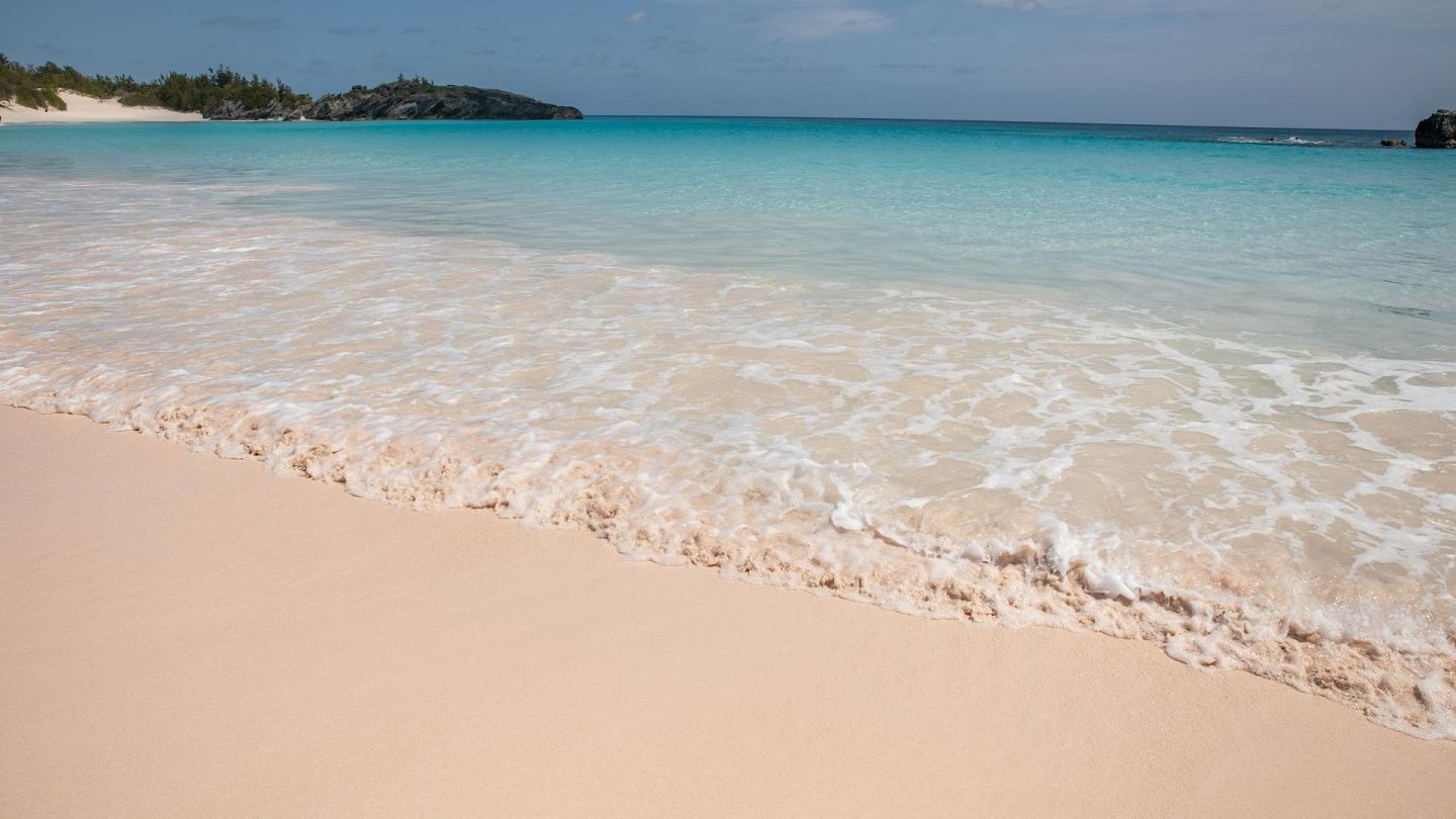 Bermuda has reopened to tourists. Here's how to visit its pink beaches and  sunken shipwrecks