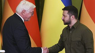 Χειραψία Στάινμάιερ με τον Ουκρανό πρόεδρο Βολοντίμιρ Ζελένσκι
