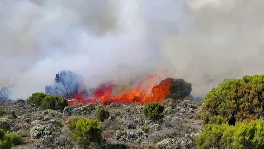 بدون تعليق: رجال الإطفاء التنزانيون يكافحون النيران على جبل كليمنجارو