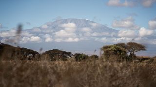 Fire on Mount Kilimanjaro reignites