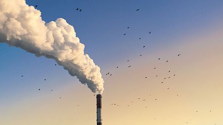 Fossil fuel emissions. The Australian Securities and Investment Commission (ASIC) has fined Tlou Energy $53,280 (€34,260) for making “factually incorrect” statements