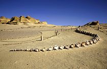 Mısır Wati El Hitan Fosiller ve İklim Değişikliği Müzesi'ndeki fosilleşmiş balina kemikleri (arşiv) 