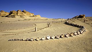 Mısır Wati El Hitan Fosiller ve İklim Değişikliği Müzesi'ndeki fosilleşmiş balina kemikleri (arşiv) 