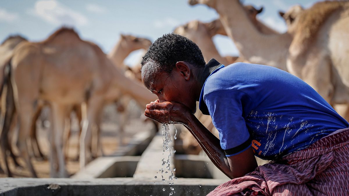 صبي راعي يروي عطشه من نقطة مياه أثناء الجفاف في الصحراء بالقرب من ديرتو - مقاطعة واجير - كينيا. 2021/10/24