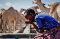 صبي راعي يروي عطشه من نقطة مياه أثناء الجفاف في الصحراء بالقرب من ديرتو - مقاطعة واجير - كينيا. 2021/10/24