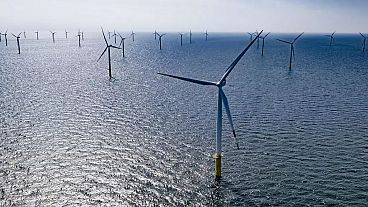 Pekin hükümeti ülkenin güney doğusunda yer alan Tayvan Boğazı'nda deniz üzerinde dünyanın en büyük rüzgar enerjisi santralini kurmayı planlıyor.