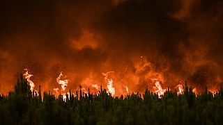Les incendies près de Belin-Beliet (Gironde), le 10 août 2022.