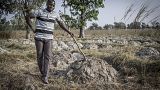 Agriculteur dans son champ, Togo