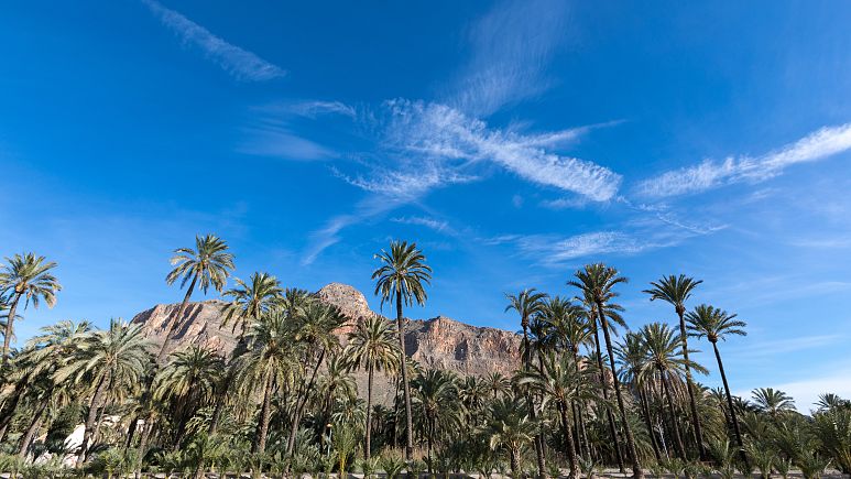 Orihuela - منطقه والنسیا که در آن فرهنگ، غذا و زیبایی طبیعی با هم برخورد می کنند