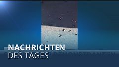 Nachrichten des Tages | 29. Oktober - Mittagsausgabe
